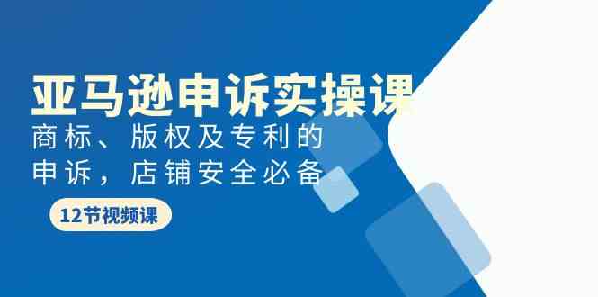 亚马逊-申诉实战课，商标、版权及专利的申诉，店铺安全必备-徐小晨博客