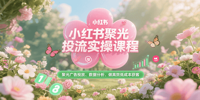小红书聚光投流实操课程，聚光广告投放、数据分析、做高效低成本获客-徐小晨博客