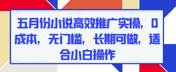 五月份小说高效推广实操，0成本，无门槛，长期可做，适合小白操作-徐小晨博客