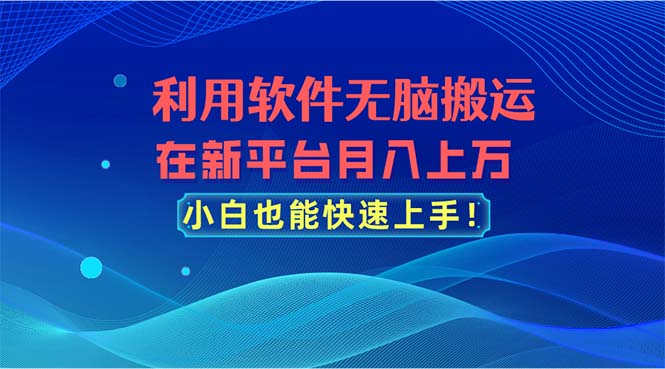 利用软件无脑搬运，在新平台月入上万，小白也能快速上手-徐小晨博客