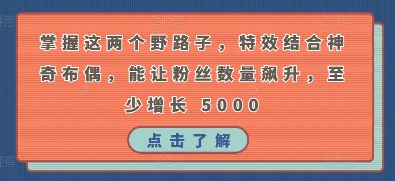 掌握这两个野路子，特效结合神奇布偶，能让粉丝数量飙升，至少增长 5000【揭秘】-徐小晨博客