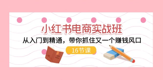 小红书电商实战班，从入门到精通，带你抓住又一个赚钱风口（16节）-徐小晨博客