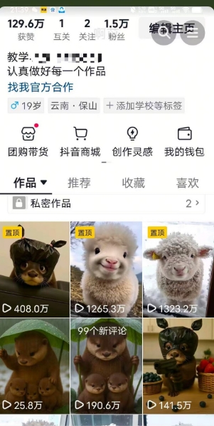 抖音65W博主AI萌宠课程，新赛道流量大，原创+二创，全套课程+提示词-徐小晨博客