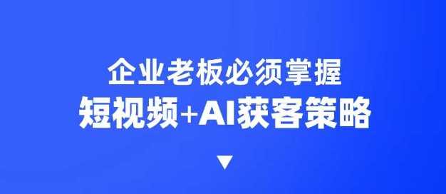 企业短视频AI获客霸屏流量课，6步短视频+AI突围法，3大霸屏抢客策略-徐小晨博客