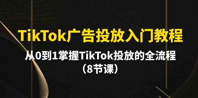 TikTok广告投放入门教程，从0到1掌握TikTok投放的全流程（8节课）-徐小晨博客