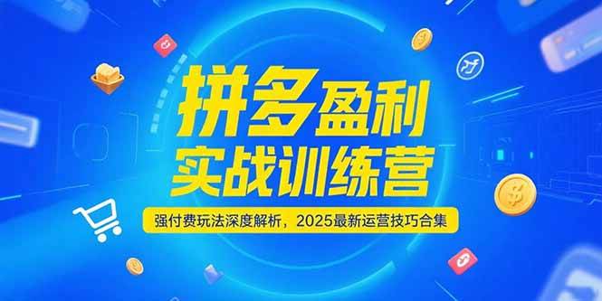拼多多盈利实战训练营，强付费玩法深度解析，2025最新运营技巧合集-徐小晨博客