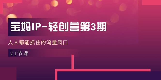 宝妈IP-轻创营第3期，人人都能抓住的流量风口（21节课）-徐小晨博客