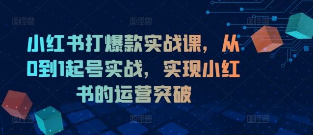 小红书打爆款实战课，从0到1起号实战，实现小红书的运营突破-徐小晨博客