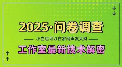 2025问卷调查最新工作室技术解密：一个人在家也可以闷声发大财，小白一天2张，可矩阵放大【揭秘】-徐小晨博客