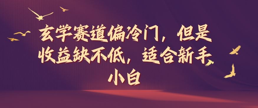 玄学赛道偏冷门，但是收益缺不低，适合新手小白【揭秘】-徐小晨博客
