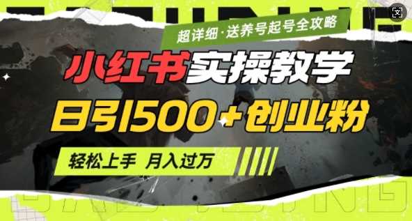 2月小红书最新日引500+创业粉实操教学【超详细】小白轻松上手，月入1W+，附小红书养号起号SOP-徐小晨博客