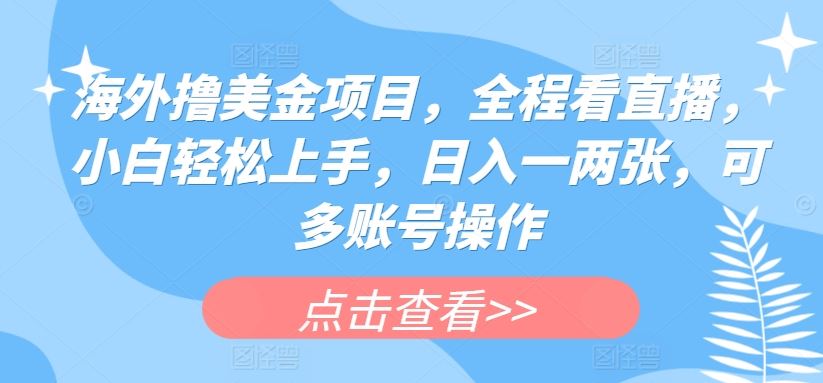 海外撸美金项目，全程看直播，小白轻松上手，日入一两张，可多账号操作【揭秘】-徐小晨博客