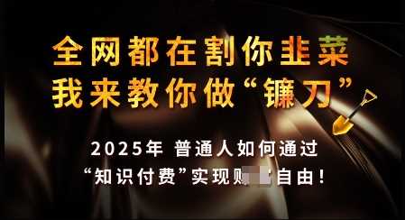 知识付费如何做到月入过W+，2025我来教你做“镰刀”【揭秘】-徐小晨博客