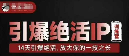 引爆绝活IP训练营，14天引爆绝活，放大你的一技之长-徐小晨博客