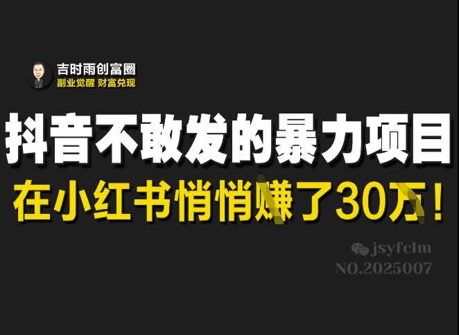 抖音不敢发的暴利项目，在小红书悄悄挣了30W-徐小晨博客