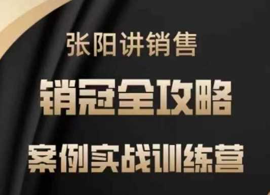 张阳讲销售实战训练营，案例实战训练，销冠全攻略-徐小晨博客