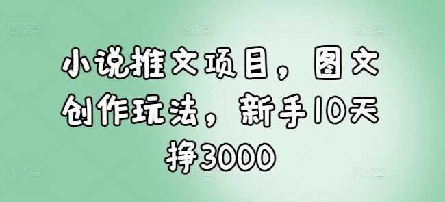小说推文项目，图文创作玩法，新手10天挣3000-徐小晨博客