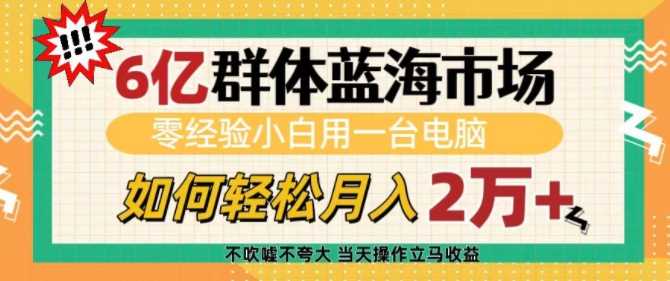 6亿群体蓝海市场，零经验小白用一台电脑，如何轻松月入过w【揭秘】-徐小晨博客