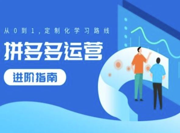 拼多多运营进阶指南，从0到1定制化学习路线-徐小晨博客