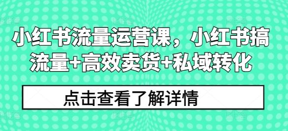 小红书流量运营课，小红书搞流量+高效卖货+私域转化-徐小晨博客