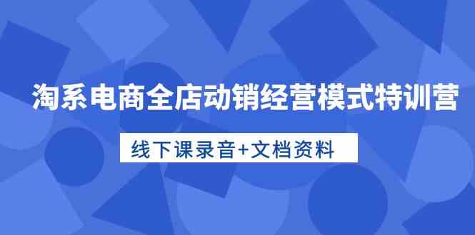 淘系电商全店动销经营模式特训营，线下课录音+文档资料-徐小晨博客