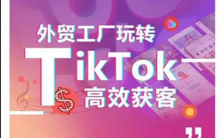外贸工厂玩转TikTok高效获客，多种引流方式与账号定位技巧，拆解爆款短视频打造成功案例-徐小晨博客