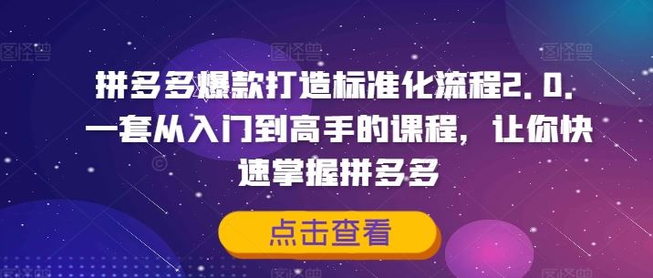 拼多多爆款打造标准化流程2.0，一套从入门到高手的课程，让你快速掌握拼多多-徐小晨博客