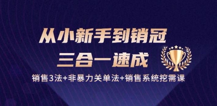 从小新手到销冠 三合一速成：销售3法+非暴力关单法+销售系统挖需课 (27节)-徐小晨博客