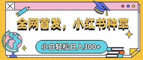 小红书种草，手机项目，日入3张，复制黏贴即可，可矩阵操作，动手不动脑【揭秘】-徐小晨博客