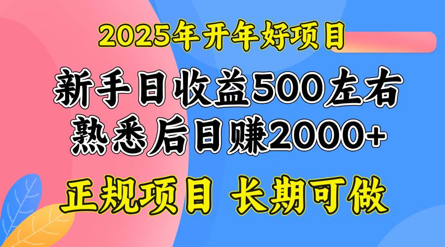 2025开年好项目，单号日收益2000左右-徐小晨博客