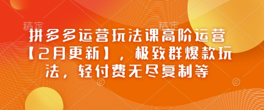 拼多多运营玩法课高阶运营【2月更新】，极致群爆款玩法，轻付费无尽复制等-徐小晨博客
