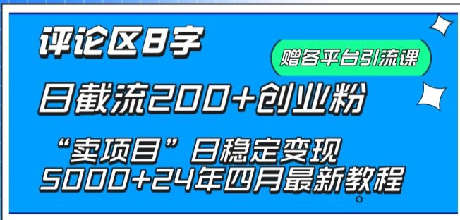 抖音评论区8字日截流200+创业粉 “卖项目”日稳定变现5000+【揭秘】-徐小晨博客