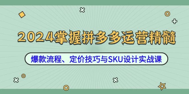 2024掌握拼多多运营精髓：爆款流程、定价技巧与SKU设计实战课-徐小晨博客
