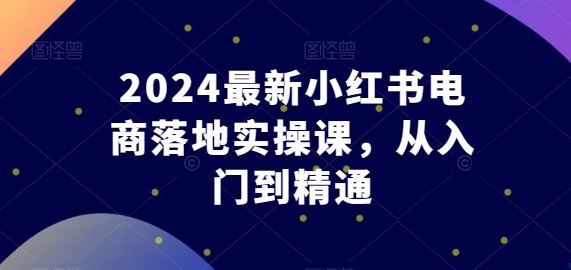 2024最新小红书电商落地实操课，从入门到精通-徐小晨博客