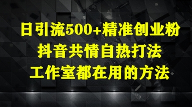 日引流500+精准创业粉，抖音共情自热打法，工作室都在用的方法-徐小晨博客