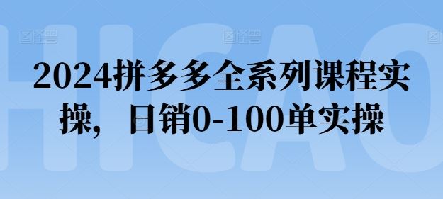 2024拼多多全系列课程实操，日销0-100单实操【必看】-徐小晨博客