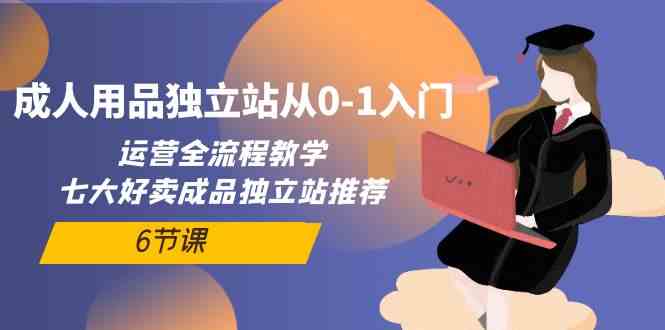 成人用品独立站从0-1入门，运营全流程教学，七大好卖成品独立站推荐-6节课-徐小晨博客