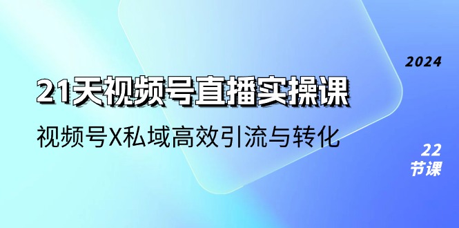 21天-视频号直播实操课，视频号X私域高效引流与转化（22节课）-徐小晨博客