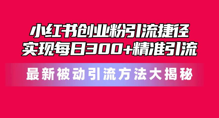 小红书创业粉引流捷径！最新被动引流方法大揭秘，实现每日300+精准引流-徐小晨博客