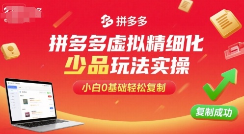 拼多多虚拟精细化少品玩法实操，小白0基础轻松复制-徐小晨博客