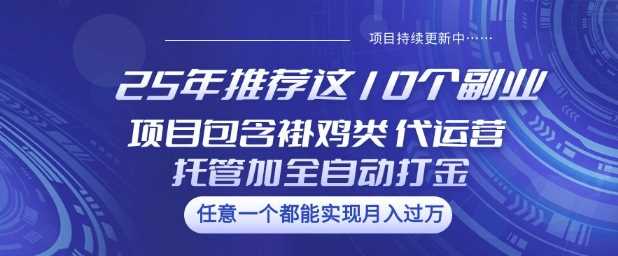 25年推荐这10个副业项目包含褂鸡类、代运营托管类、全自动打金类【揭秘】-徐小晨博客