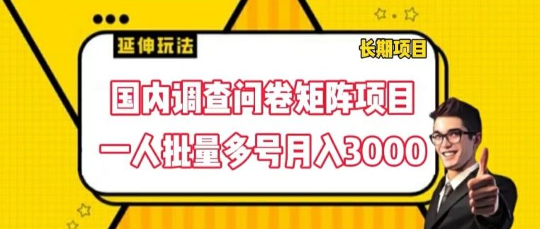 国内调查问卷矩阵项目，一人批量多号月入3000【揭秘】-徐小晨博客