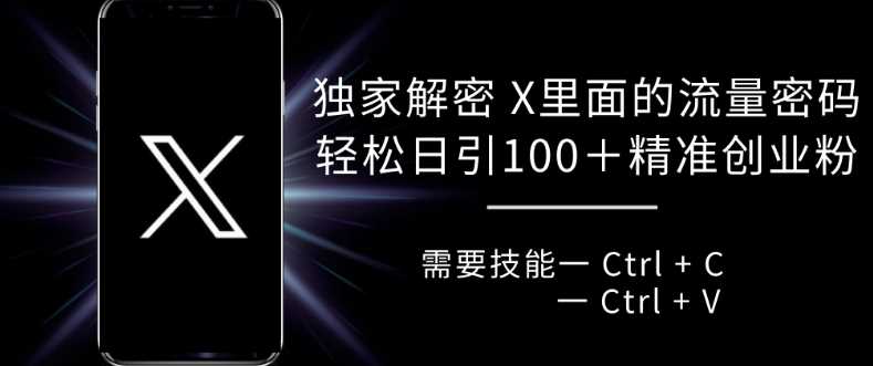 独家解密 X 里面的流量密码，复制粘贴轻松日引100+-徐小晨博客