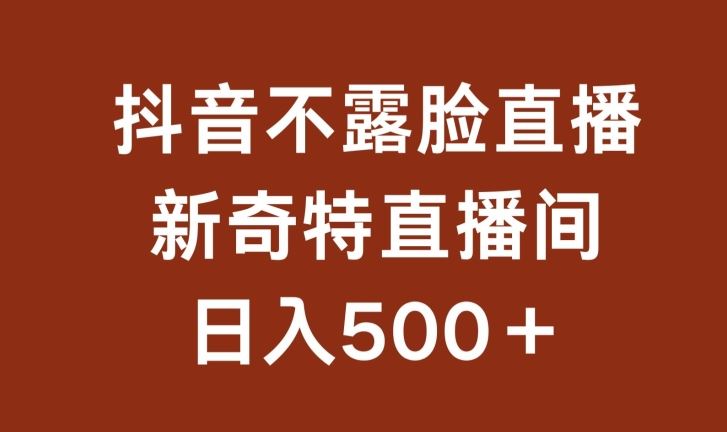 不露脸挂机直播，新奇特直播间，日入500+【揭秘】-徐小晨博客
