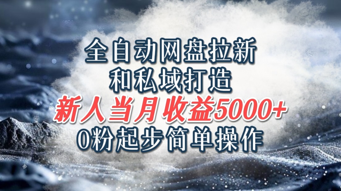 全自动网盘拉新和私域打造，0粉起步简单操作，新人入门当月收益5000以上-徐小晨博客