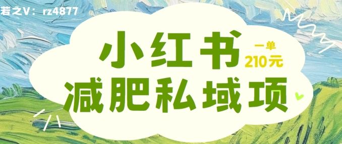 小红书减肥粉，私域变现项目，一单就达210元，小白也能轻松上手【揭秘】-徐小晨博客