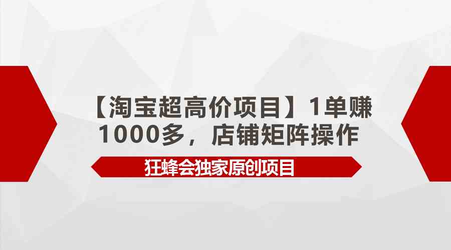 【淘宝超高价项目】1单赚1000多，店铺矩阵操作-徐小晨博客