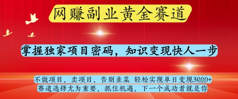 网创副业黄全赛道，掌握独家项目密码，知识变现快人一步，告别韭菜轻松实现单日变现1k+【揭秘】-徐小晨博客