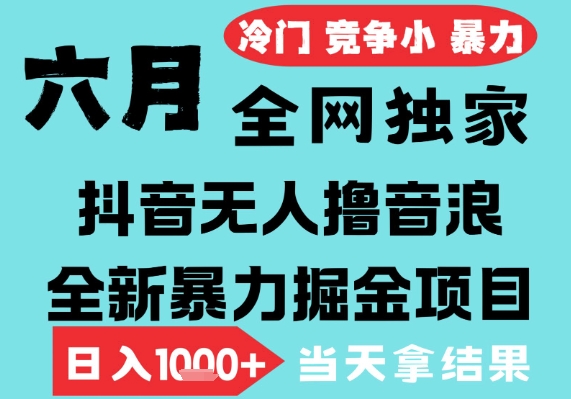 2025年6月高爆抖音无人直播最新撸音浪掘金项目，无脑日入1k+，低门槛小白可做，可矩阵放大【揭秘】-徐小晨博客