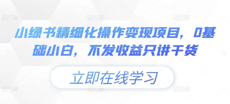 小绿书精细化操作变现项目，0基础小白，不发收益只讲干货-徐小晨博客